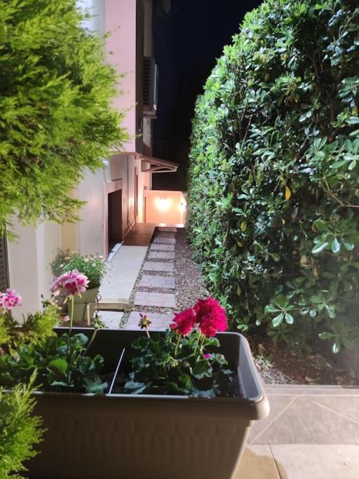 Ebony And Ivory Suites Drosia  Exterior foto